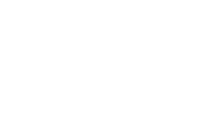 FitBiz Logo white